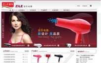 揭陽市試驗區(qū)溪南茲樂電器廠